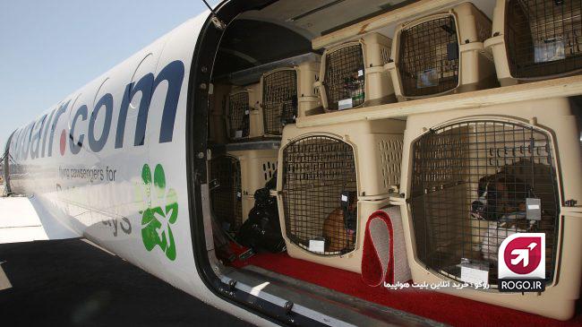 حمل حیوانات خانگی با هواپیما 